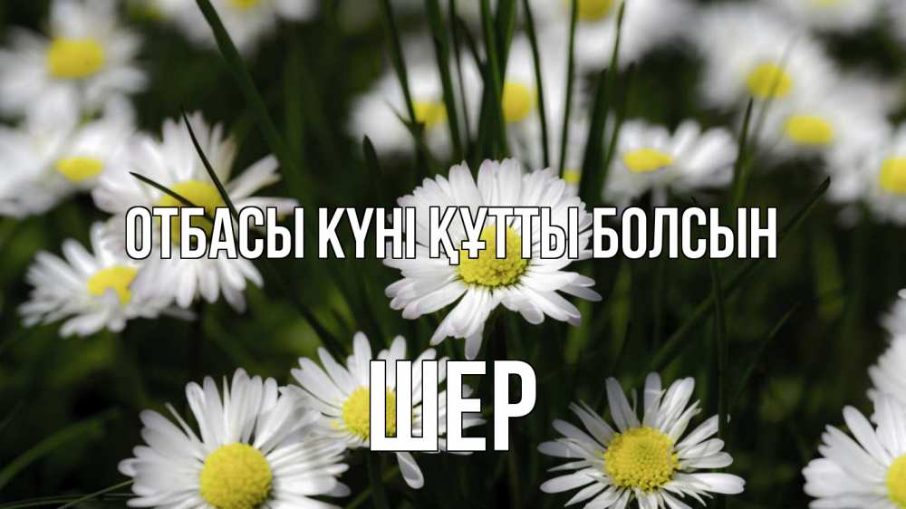 Күн сайын ашық хат с именем, ШЕР отбасы күні құтты болсын с днем семьи  2 Онлайн тегін жүктеп алу тілектері бар керемет карта 