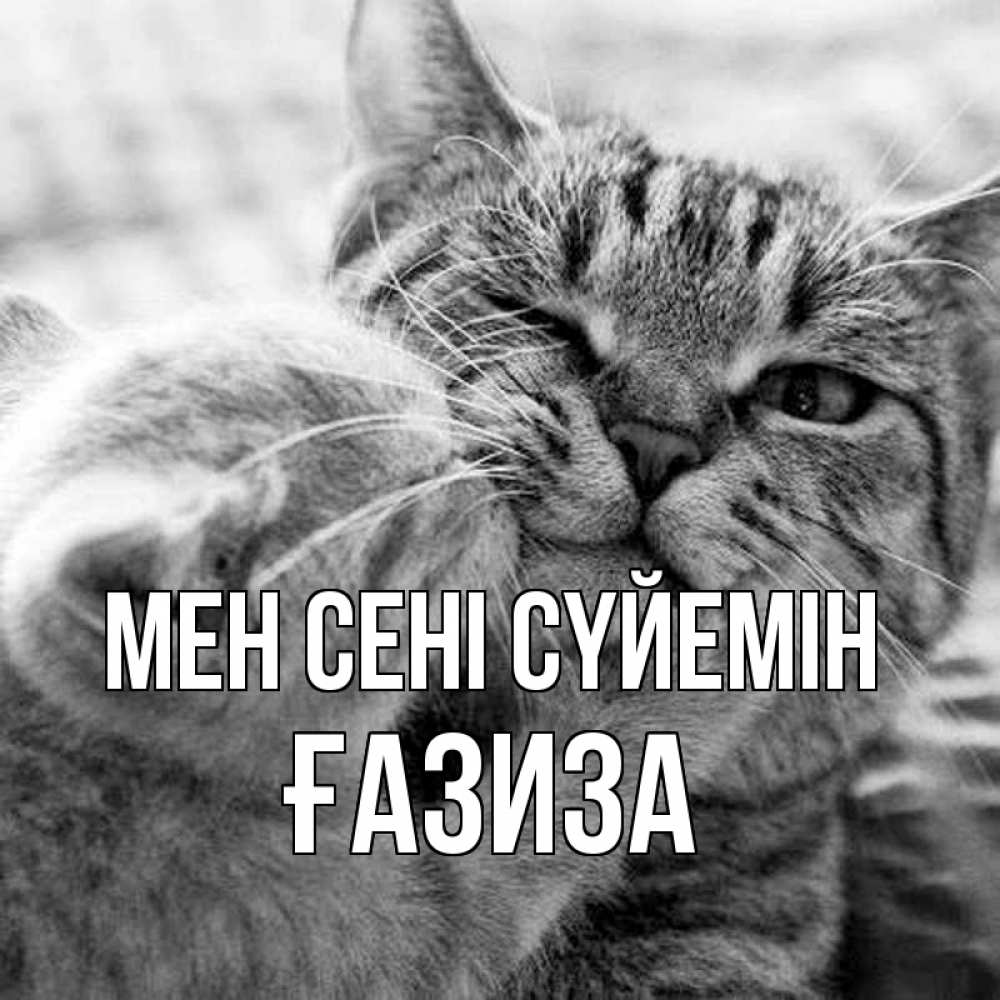 Күн сайын ашық хат с именем, ҒАЗИЗА Мен сені сүйемін коты Онлайн тегін жүктеп алу тілектері бар керемет карта 