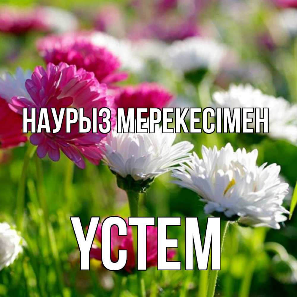 Күн сайын ашық хат с именем, ҮСТЕМ Наурыз мерекесімен праздник весны наурыз красота Онлайн тегін жүктеп алу тілектері бар керемет карта 