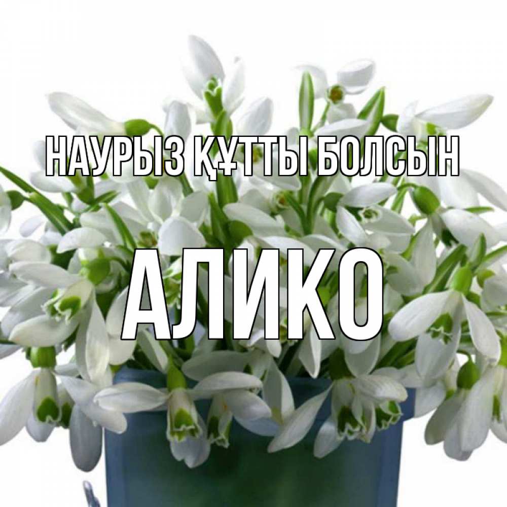 Күн сайын ашық хат с именем, Алико Наурыз құтты болсын цветы к наурызу Онлайн тегін жүктеп алу тілектері бар керемет карта 