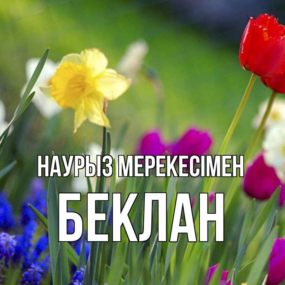 Күн сайын ашық хат с именем, Беклан Наурыз мерекесімен праздник весны наурыз 3 Онлайн тегін жүктеп алу тілектері бар керемет карта 