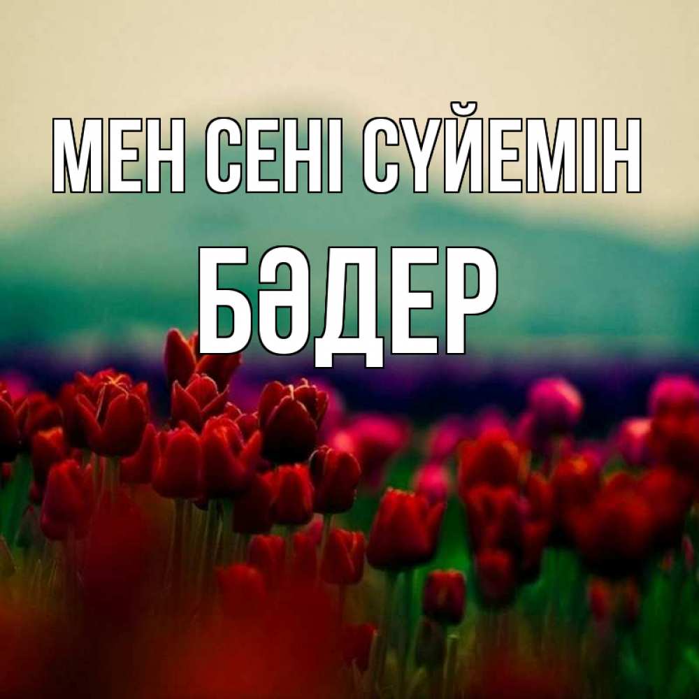 Күн сайын ашық хат с именем, БӘДЕР Мен сені сүйемін тюльпаны 4 Онлайн тегін жүктеп алу тілектері бар керемет карта 