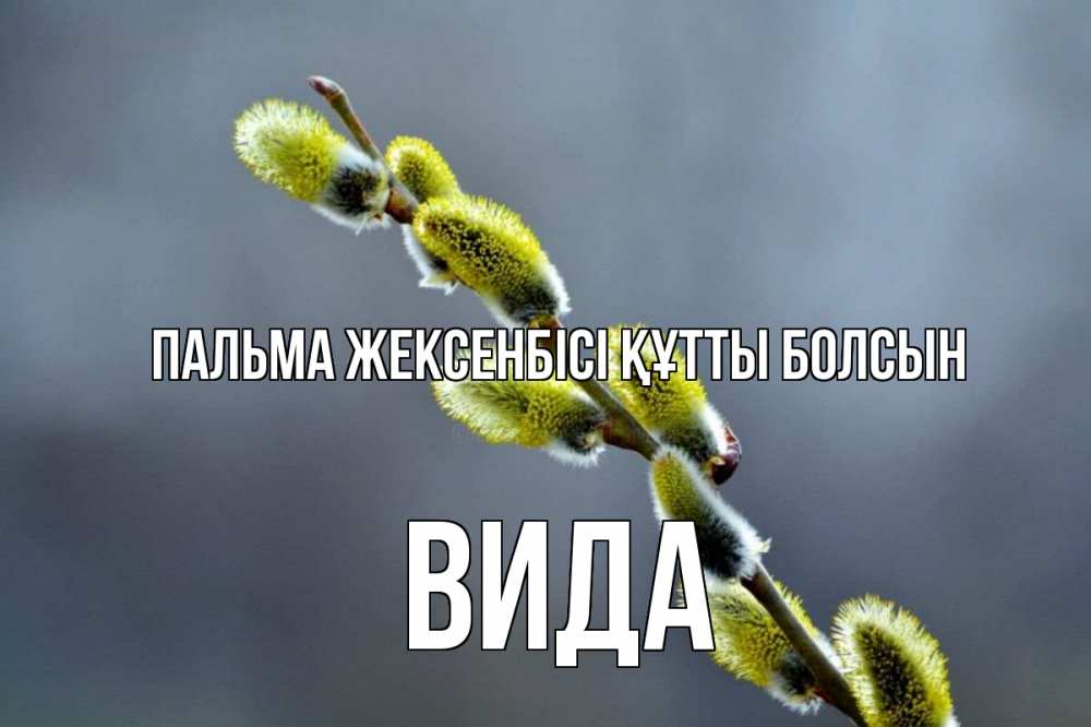Күн сайын ашық хат с именем, Вида Пальма жексенбісі құтты болсын верба Онлайн тегін жүктеп алу тілектері бар керемет карта 