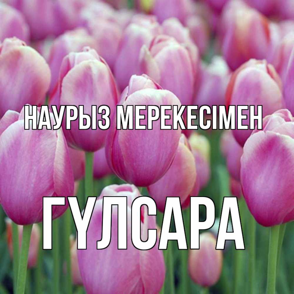 Күн сайын ашық хат с именем, ГҮЛСАРА Наурыз мерекесімен праздник весны наурыз 69 Онлайн тегін жүктеп алу тілектері бар керемет карта 
