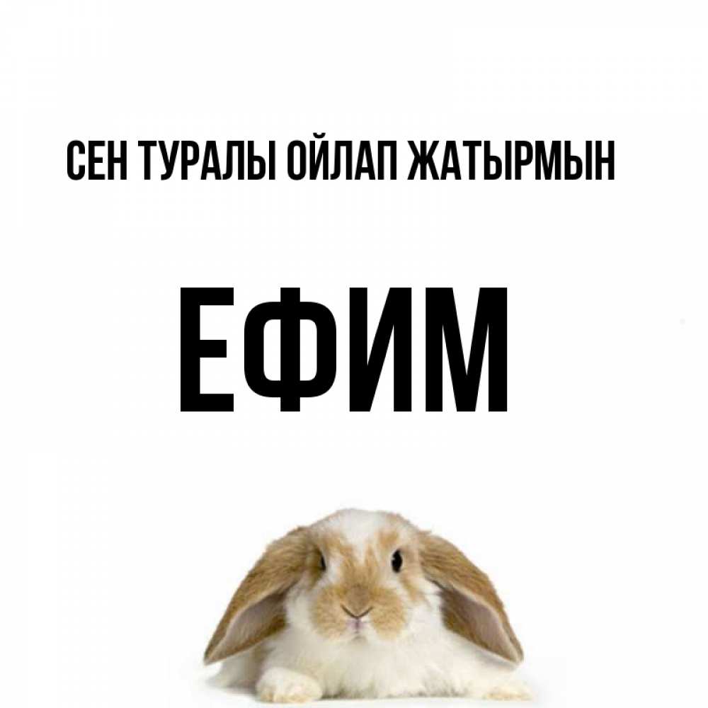 Күн сайын ашық хат с именем, Ефим Сен туралы ойлап жатырмын подписать своими руками онлайн Онлайн тегін жүктеп алу тілектері бар керемет карта 