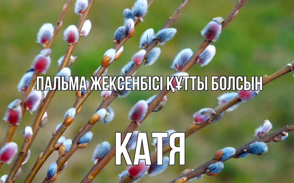 Күн сайын ашық хат с именем, Катя Пальма жексенбісі құтты болсын верба Онлайн тегін жүктеп алу тілектері бар керемет карта 