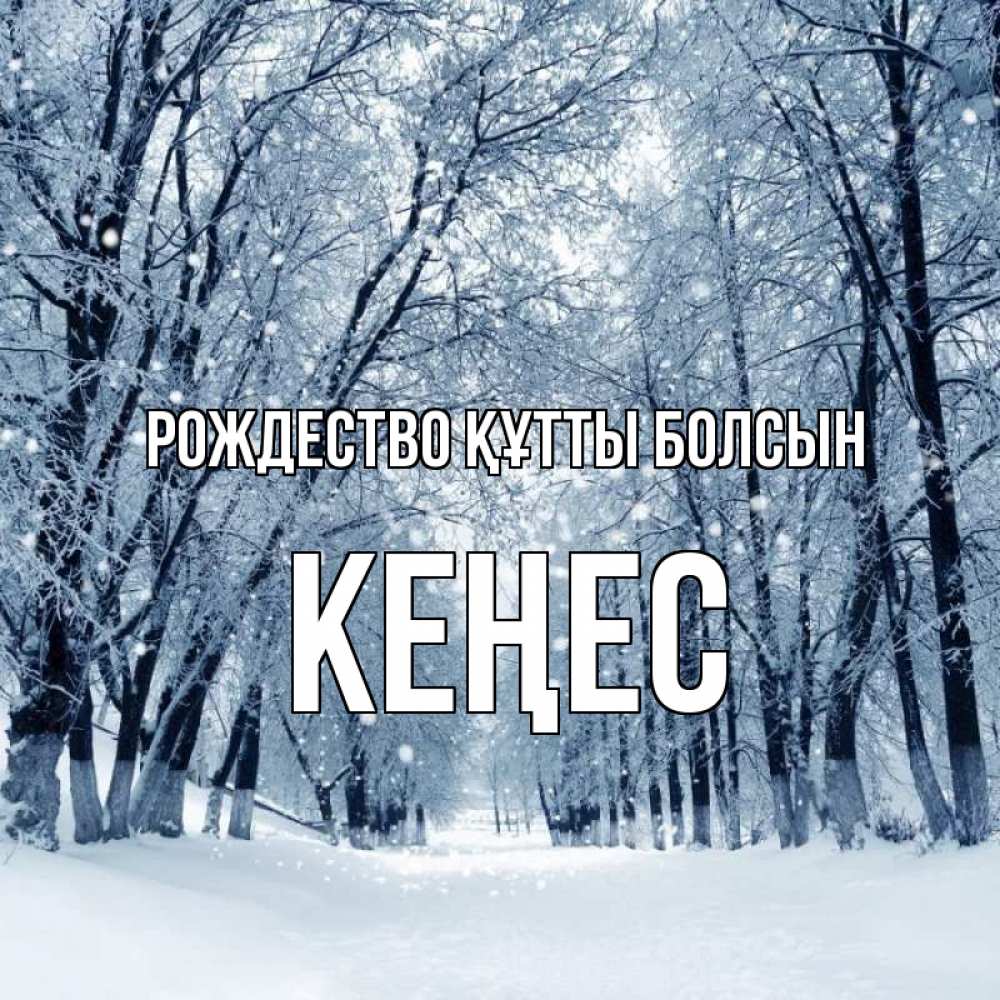 Күн сайын ашық хат с именем, Кеңес Рождество құтты болсын снег, лес, парк Онлайн тегін жүктеп алу тілектері бар керемет карта 
