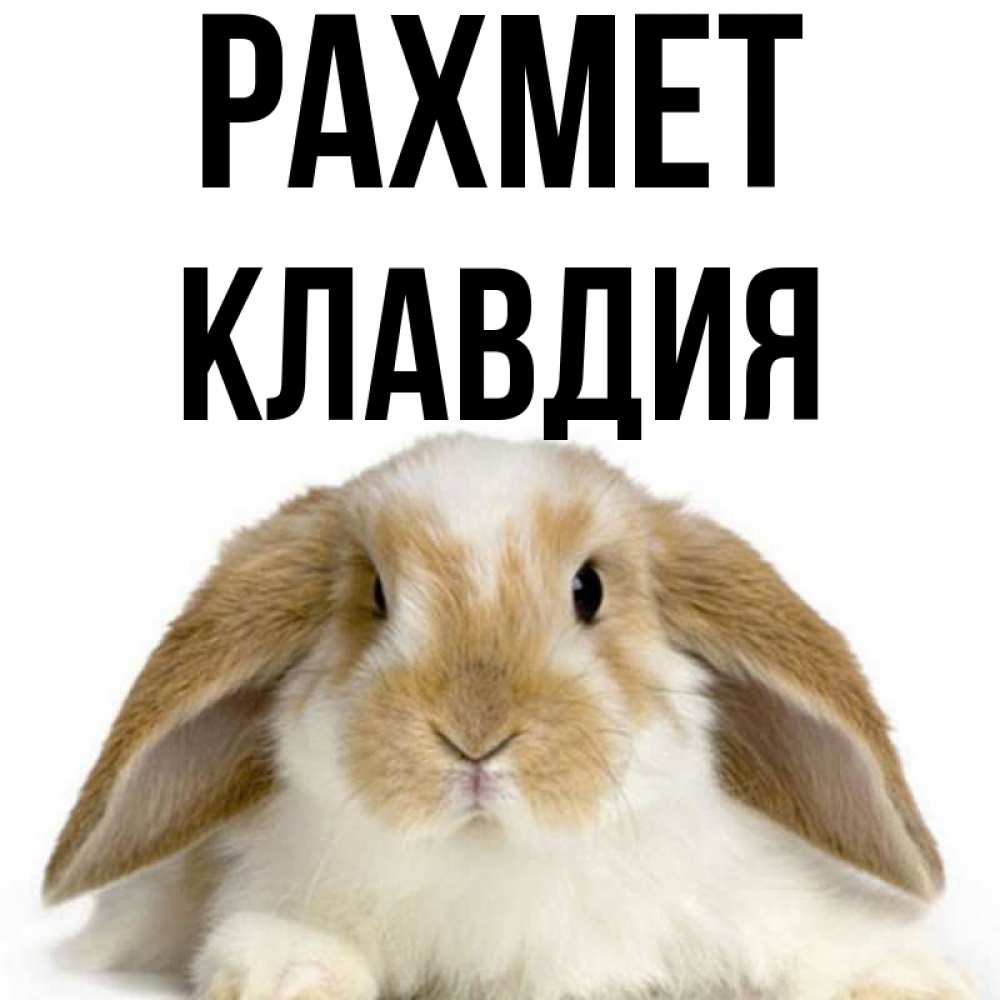 Күн сайын ашық хат с именем, Клавдия рахмет коричнево белый заяц Онлайн тегін жүктеп алу тілектері бар керемет карта 