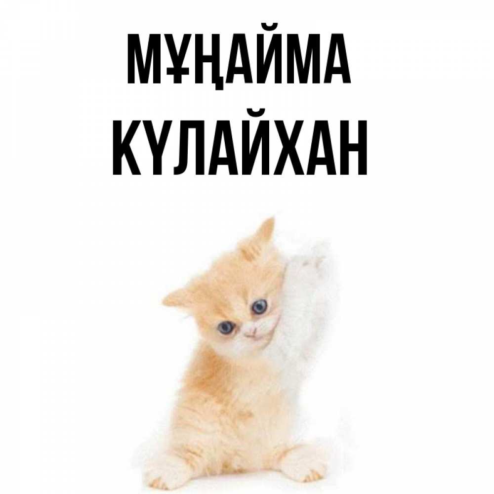 Күн сайын ашық хат с именем, КҮЛАЙХАН Мұңайма просящий кот Онлайн тегін жүктеп алу тілектері бар керемет карта 