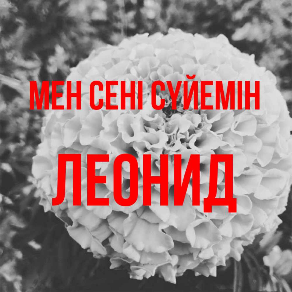 Күн сайын ашық хат с именем, Леонид Мен сені сүйемін подпись Онлайн тегін жүктеп алу тілектері бар керемет карта 
