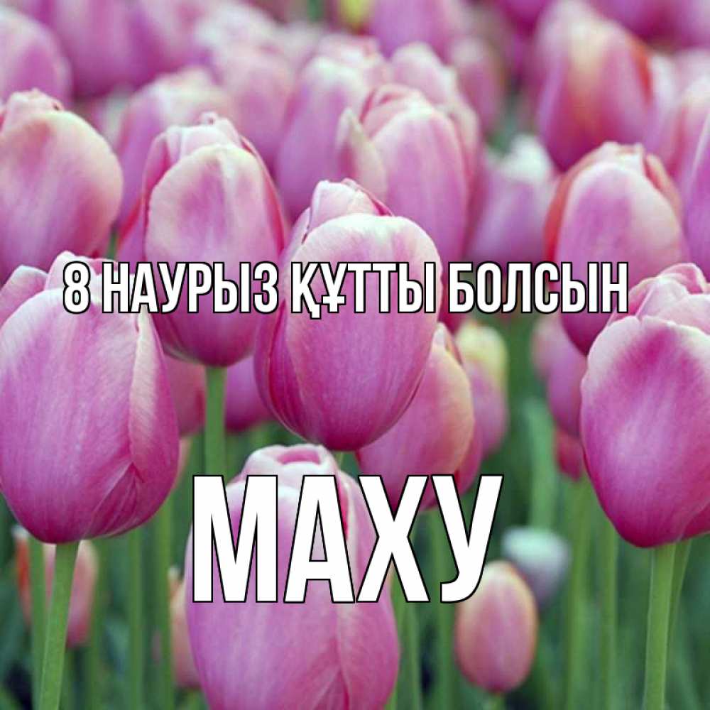 Күн сайын ашық хат с именем, МАХУ 8 наурыз құтты болсын на международный женский день 3 Онлайн тегін жүктеп алу тілектері бар керемет карта 