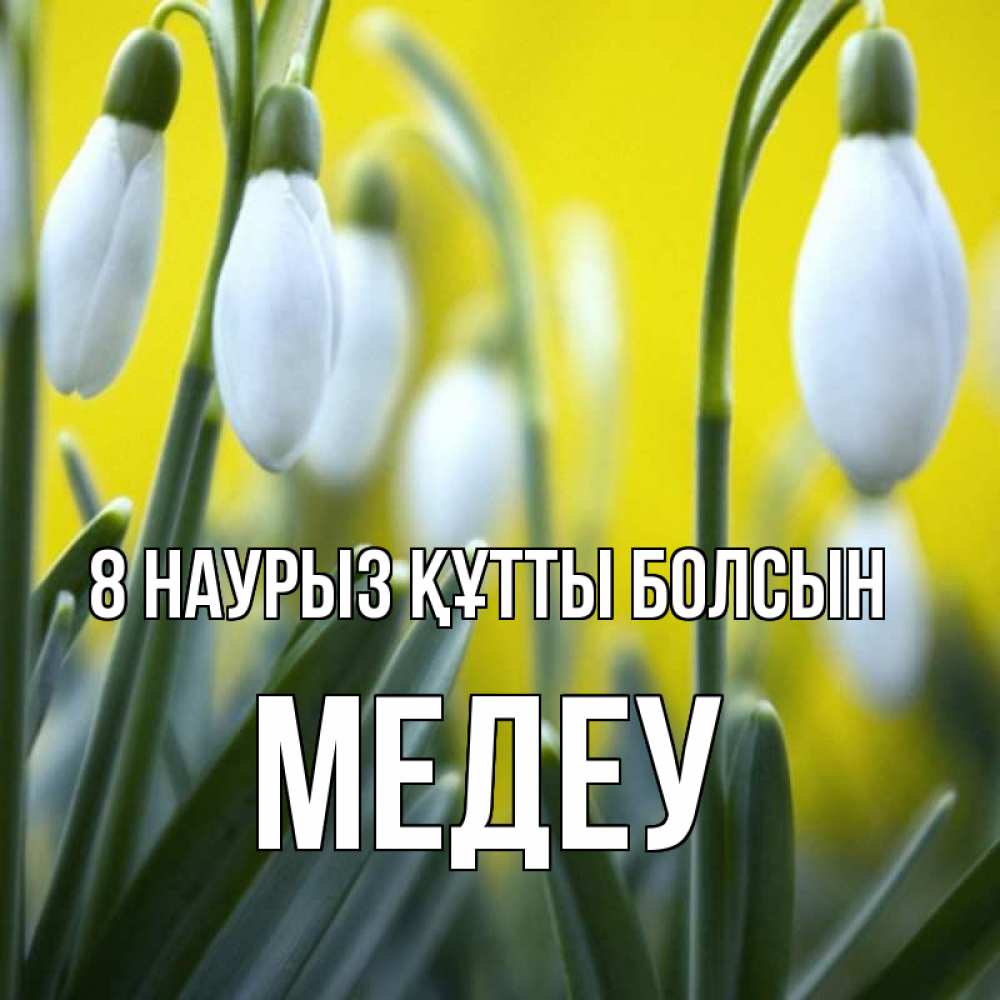 Күн сайын ашық хат с именем, МЕДЕУ 8 наурыз құтты болсын весенние цветы Онлайн тегін жүктеп алу тілектері бар керемет карта 