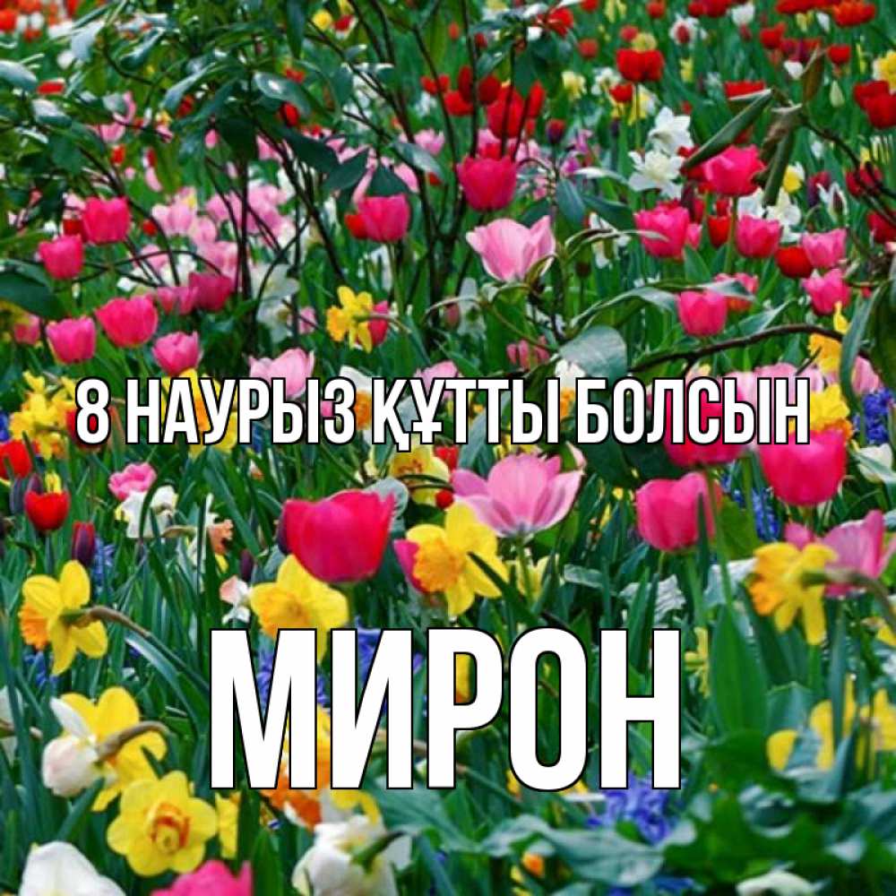 Күн сайын ашық хат с именем, МИРОН 8 наурыз құтты болсын с международным женским днем поздравления для женщины Онлайн тегін жүктеп алу тілектері бар керемет карта 