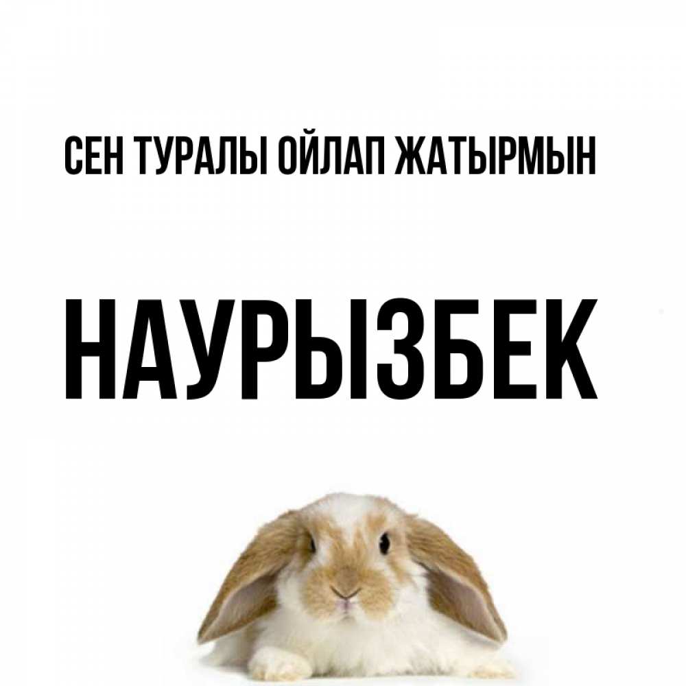 Күн сайын ашық хат с именем, Наурызбек Сен туралы ойлап жатырмын подписать своими руками онлайн Онлайн тегін жүктеп алу тілектері бар керемет карта 