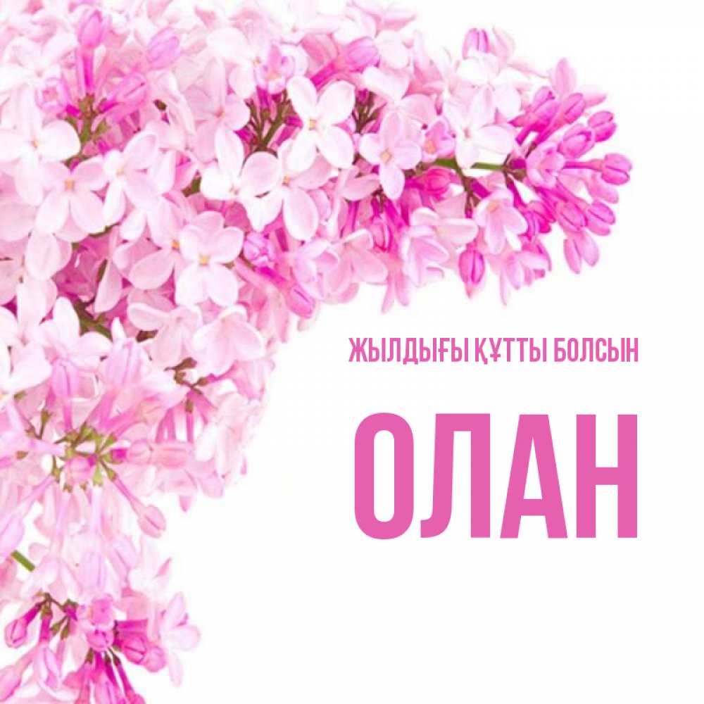 Күн сайын ашық хат с именем, Олан Жылдығы құтты болсын Сирень на белом фоне Онлайн тегін жүктеп алу тілектері бар керемет карта 
