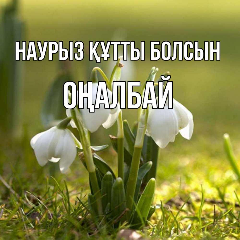 Күн сайын ашық хат с именем, ОҢАЛБАЙ Наурыз құтты болсын ранние цветы 2 Онлайн тегін жүктеп алу тілектері бар керемет карта 