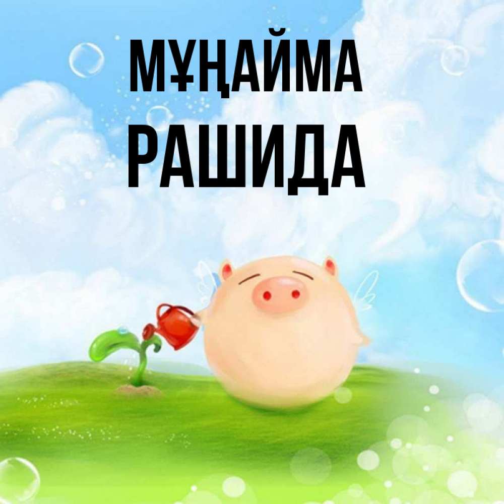 Күн сайын ашық хат с именем, РАШИДА Мұңайма поливает цветок порося Онлайн тегін жүктеп алу тілектері бар керемет карта 