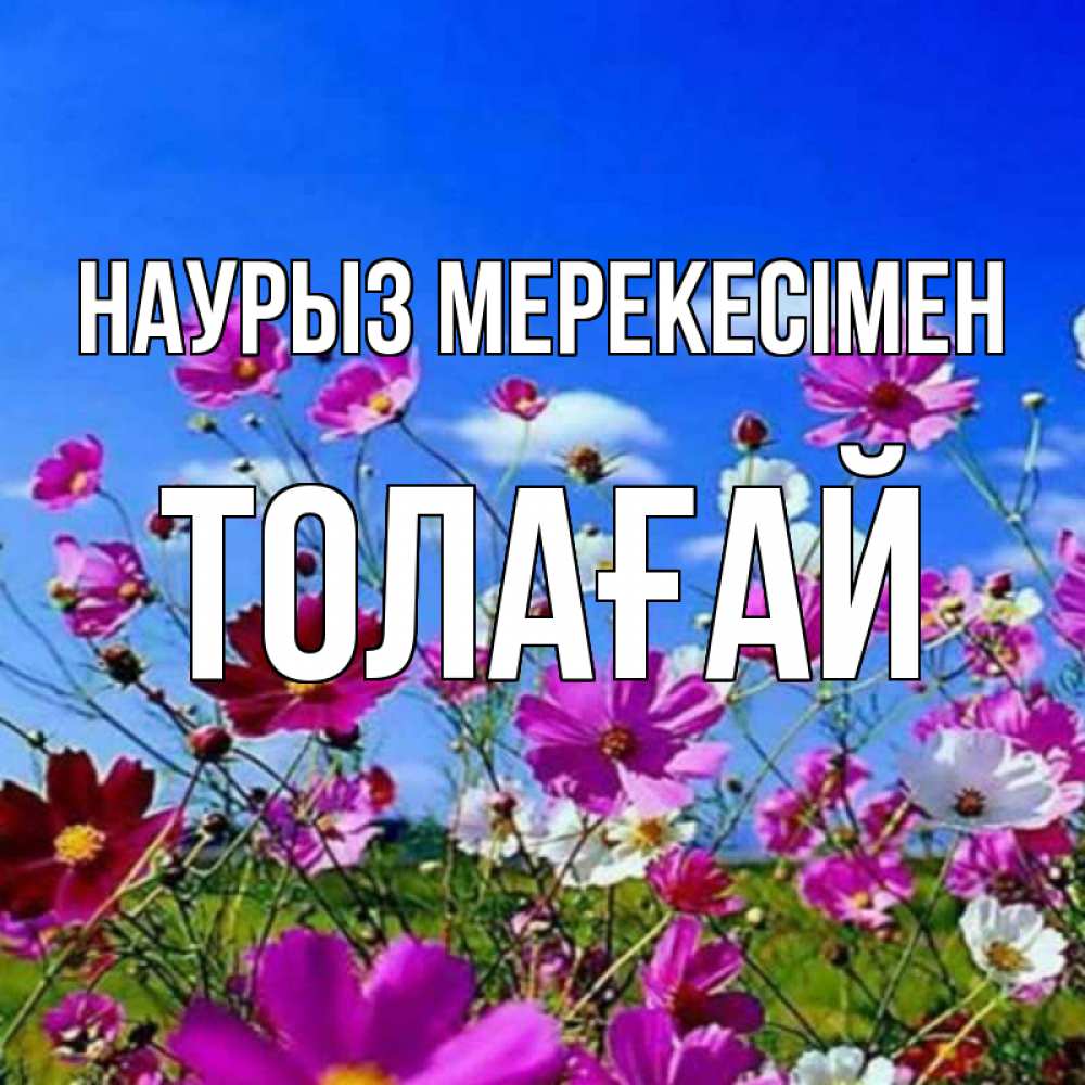 Күн сайын ашық хат с именем, ТОЛАҒАЙ Наурыз мерекесімен цветы Онлайн тегін жүктеп алу тілектері бар керемет карта 