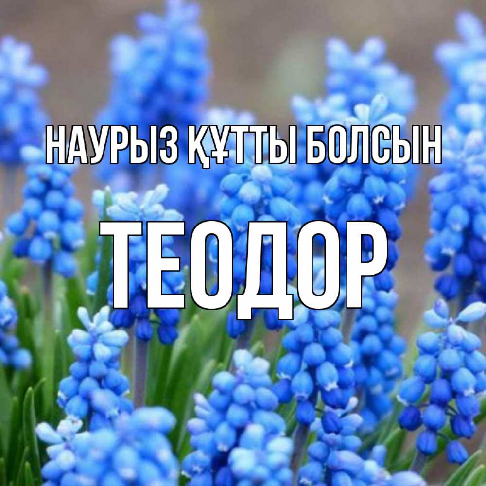 Күн сайын ашық хат с именем, Теодор Наурыз құтты болсын Поздравительная открытка для женщин с цветами на праздничную дату Онлайн тегін жүктеп алу тілектері бар керемет карта 