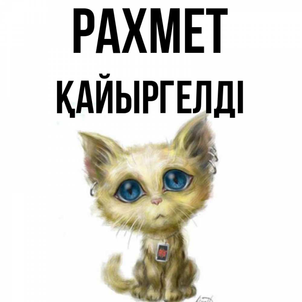 Күн сайын ашық хат с именем, Қайыргелді рахмет рисованный кот благодарит вас Онлайн тегін жүктеп алу тілектері бар керемет карта 
