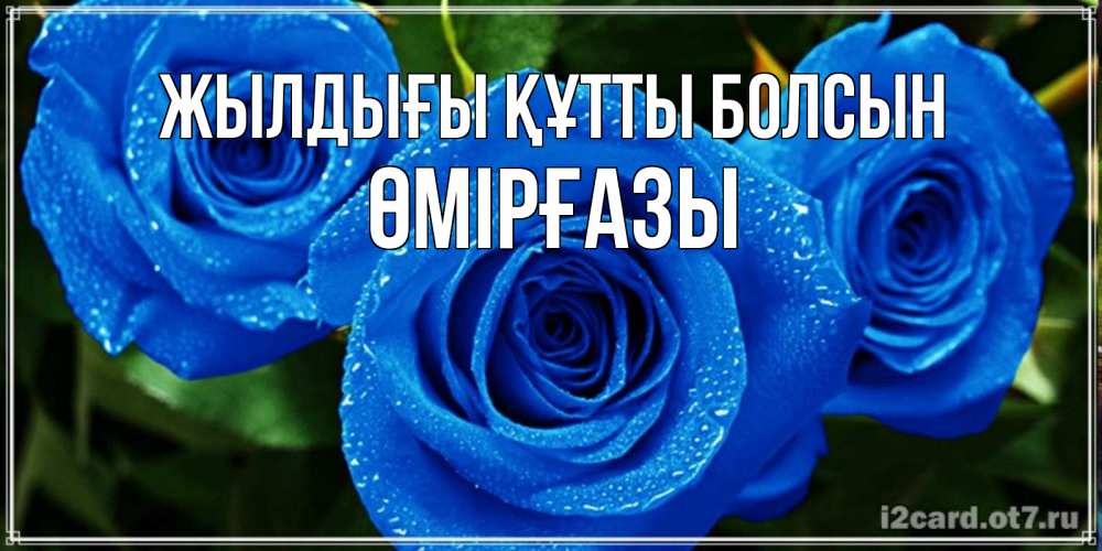 Күн сайын ашық хат с именем, ӨМІРҒАЗЫ Жылдығы құтты болсын розы с синим цветом Онлайн тегін жүктеп алу тілектері бар керемет карта 