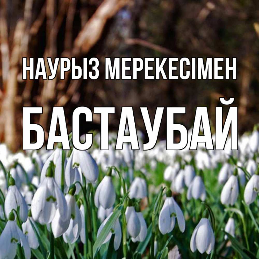 Күн сайын ашық хат с именем, Бастаубай Наурыз мерекесімен с подснежниками 1 Онлайн тегін жүктеп алу тілектері бар керемет карта 