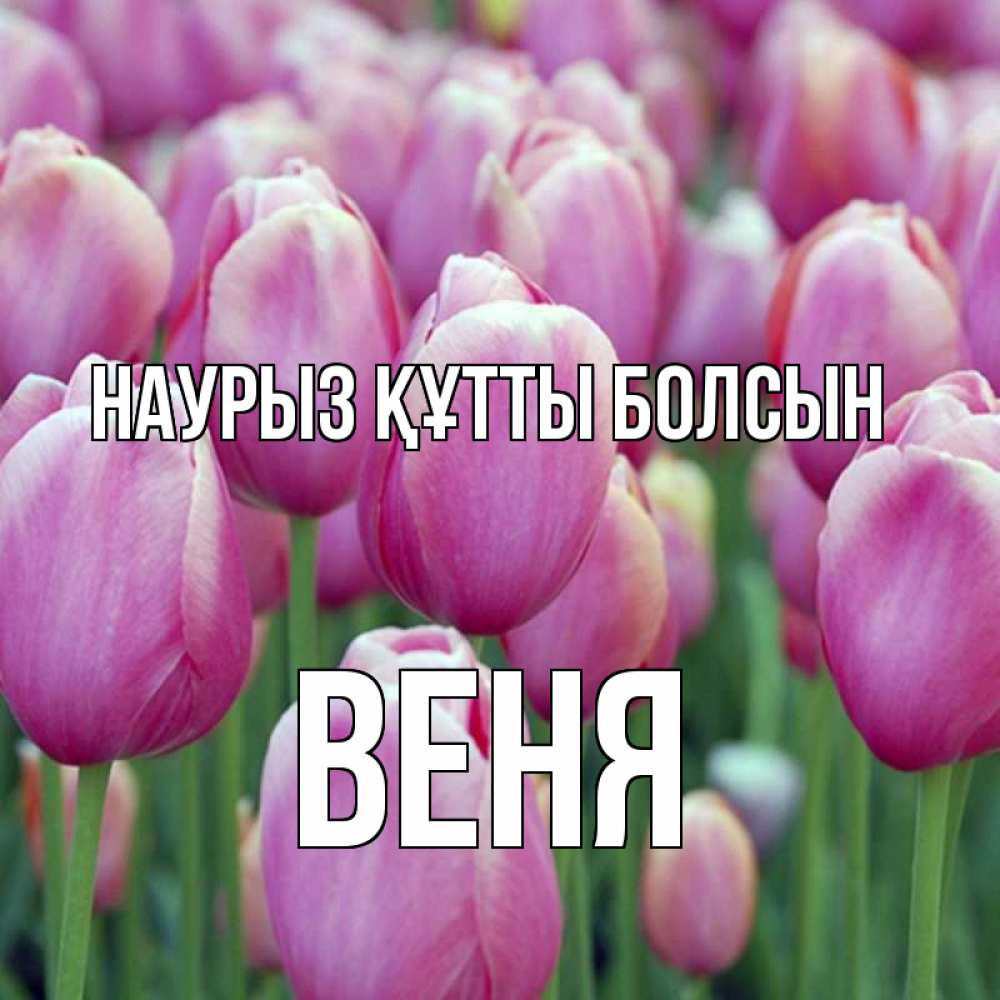 Күн сайын ашық хат с именем, Веня Наурыз құтты болсын на наурыз  день 3 Онлайн тегін жүктеп алу тілектері бар керемет карта 