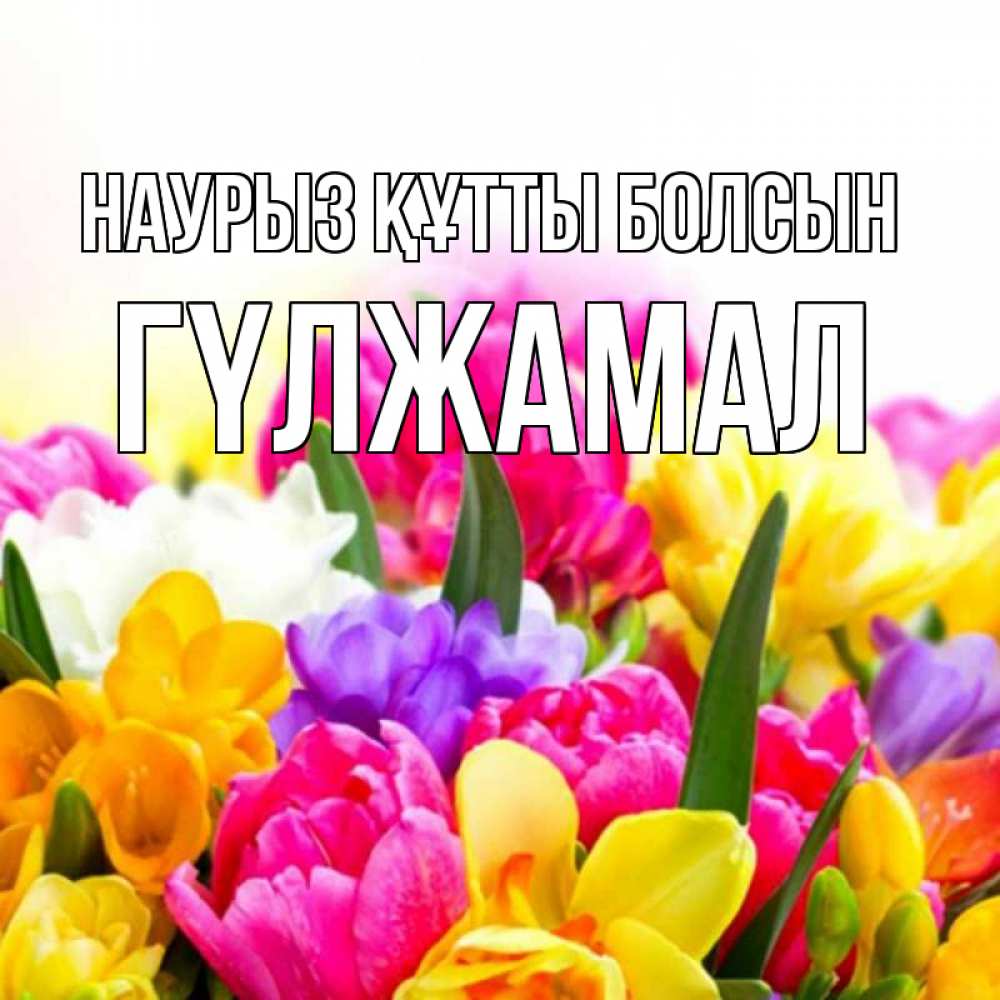 Күн сайын ашық хат с именем, ГҮЛЖАМАЛ Наурыз құтты болсын тюльпаны Онлайн тегін жүктеп алу тілектері бар керемет карта 