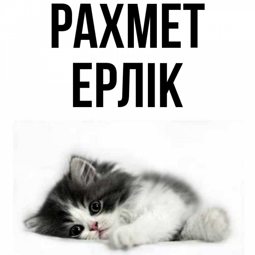 Күн сайын ашық хат с именем, Ерлік рахмет черный и белый кот Онлайн тегін жүктеп алу тілектері бар керемет карта 