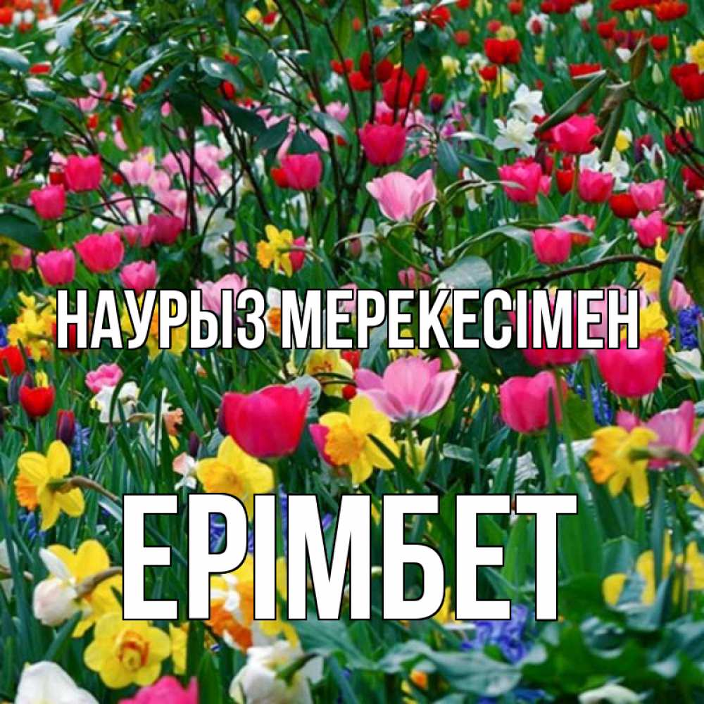 Күн сайын ашық хат с именем, Ерімбет Наурыз мерекесімен с наурызом праздником весны поздравления для женщины Онлайн тегін жүктеп алу тілектері бар керемет карта 