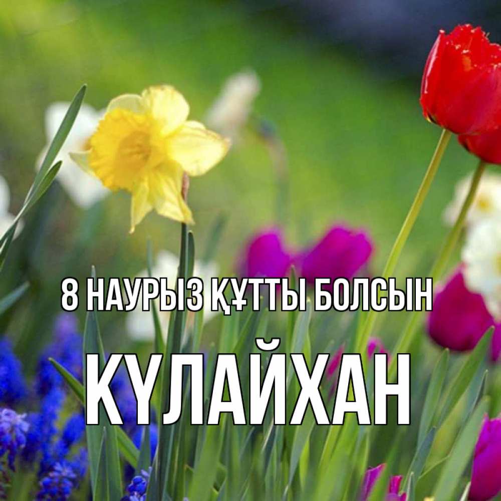 Күн сайын ашық хат с именем, КҮЛАЙХАН 8 наурыз құтты болсын международный женский день 3 Онлайн тегін жүктеп алу тілектері бар керемет карта 