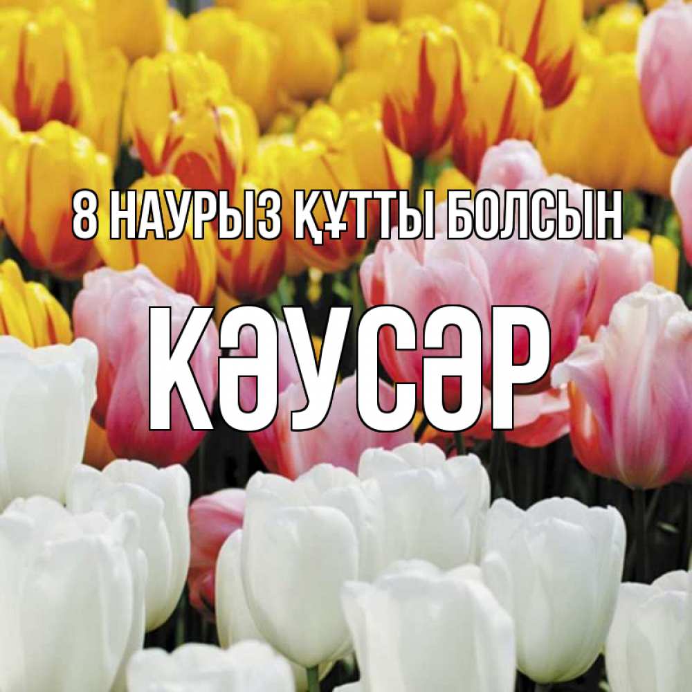 Күн сайын ашық хат с именем, КӘУСӘР 8 наурыз құтты болсын разноцветные цветы Онлайн тегін жүктеп алу тілектері бар керемет карта 
