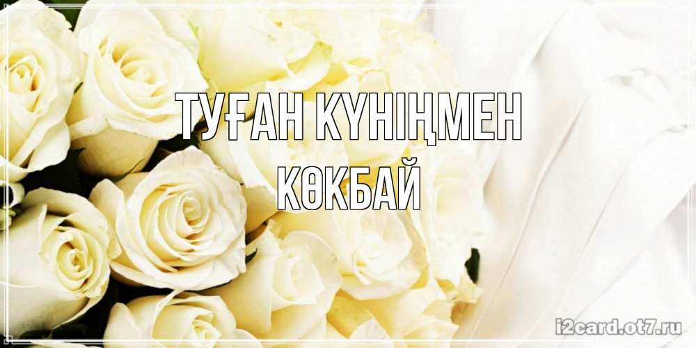 Күн сайын ашық хат с именем, Көкбай Туған күніңмен белые розы в букете Онлайн тегін жүктеп алу тілектері бар керемет карта 