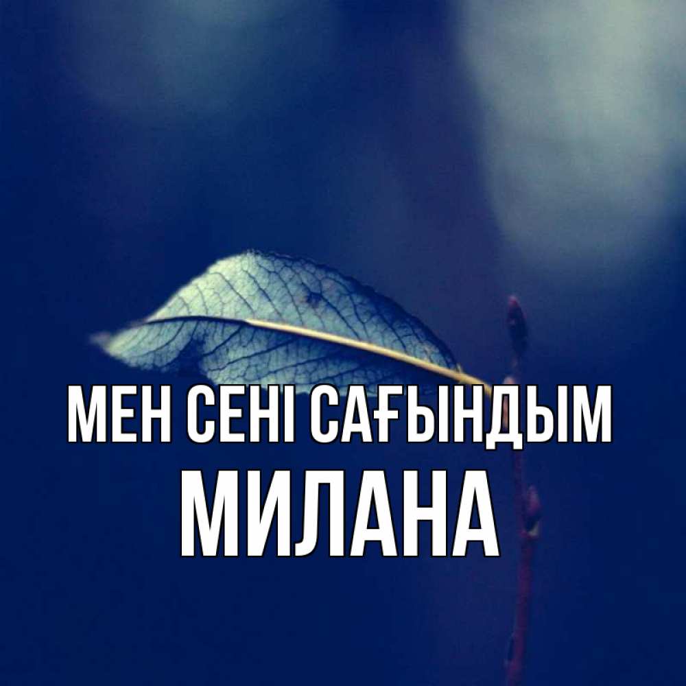 Күн сайын ашық хат с именем, Милана Мен сені сағындым одна ветка 1 Онлайн тегін жүктеп алу тілектері бар керемет карта 