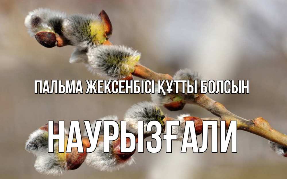 Күн сайын ашық хат с именем, Наурызғали Пальма жексенбісі құтты болсын Верба Онлайн тегін жүктеп алу тілектері бар керемет карта 