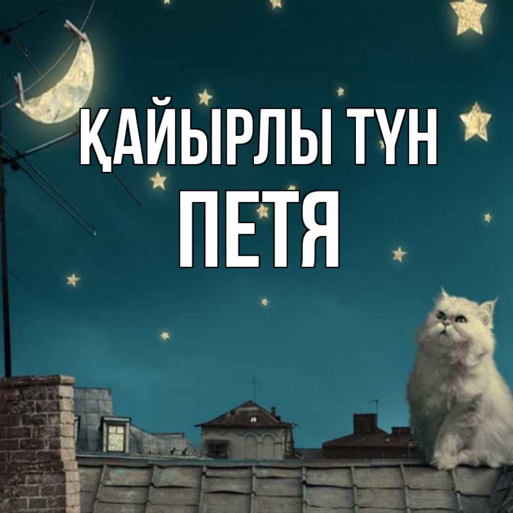 Күн сайын ашық хат с именем, Петя Қайырлы түн белый кот сидит на крыше Онлайн тегін жүктеп алу тілектері бар керемет карта 