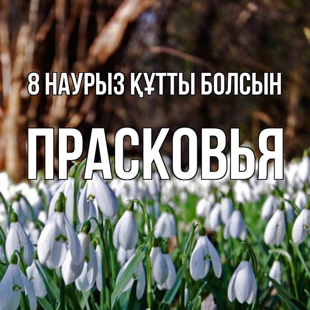 Күн сайын ашық хат с именем, Прасковья 8 наурыз құтты болсын с подснежниками 1 Онлайн тегін жүктеп алу тілектері бар керемет карта 