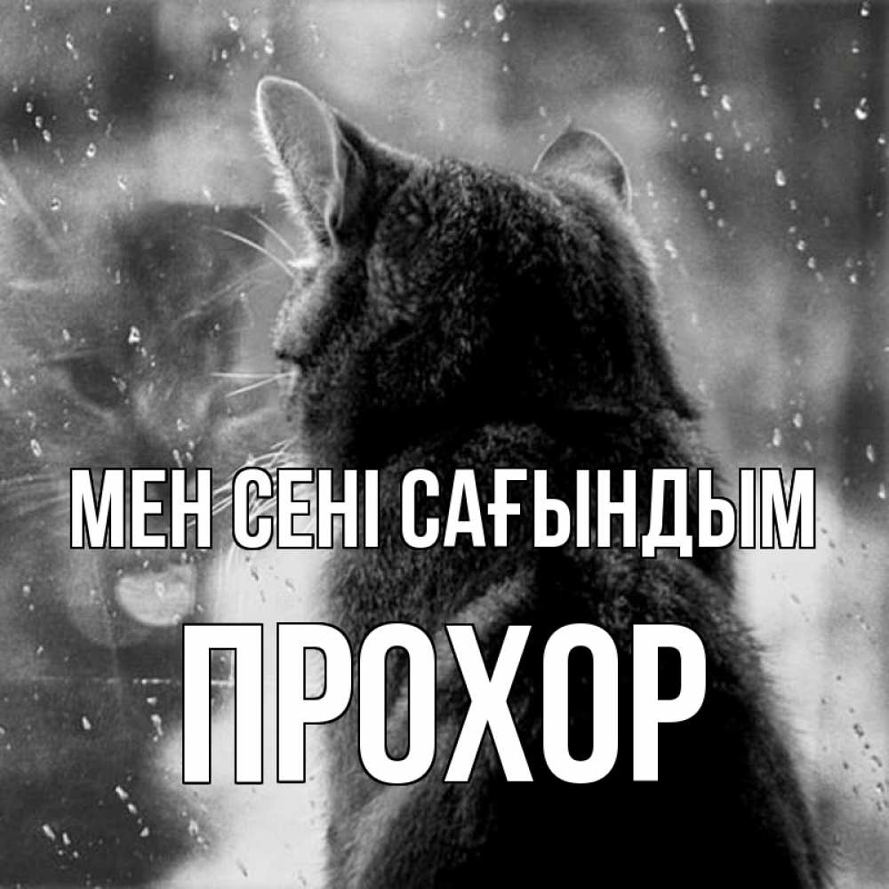Күн сайын ашық хат с именем, Прохор Мен сені сағындым скорее ко мне приходи 1 Онлайн тегін жүктеп алу тілектері бар керемет карта 