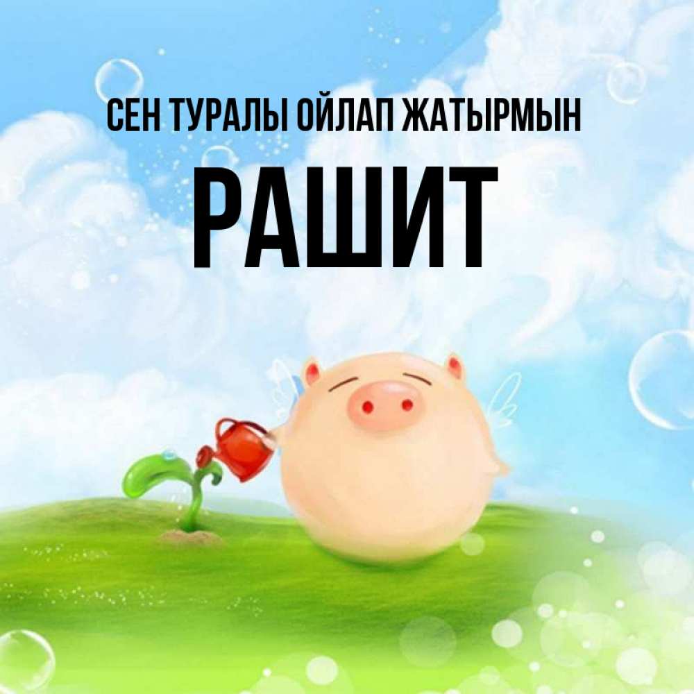 Күн сайын ашық хат с именем, РАШИТ Сен туралы ойлап жатырмын позитивная свинюшка Онлайн тегін жүктеп алу тілектері бар керемет карта 