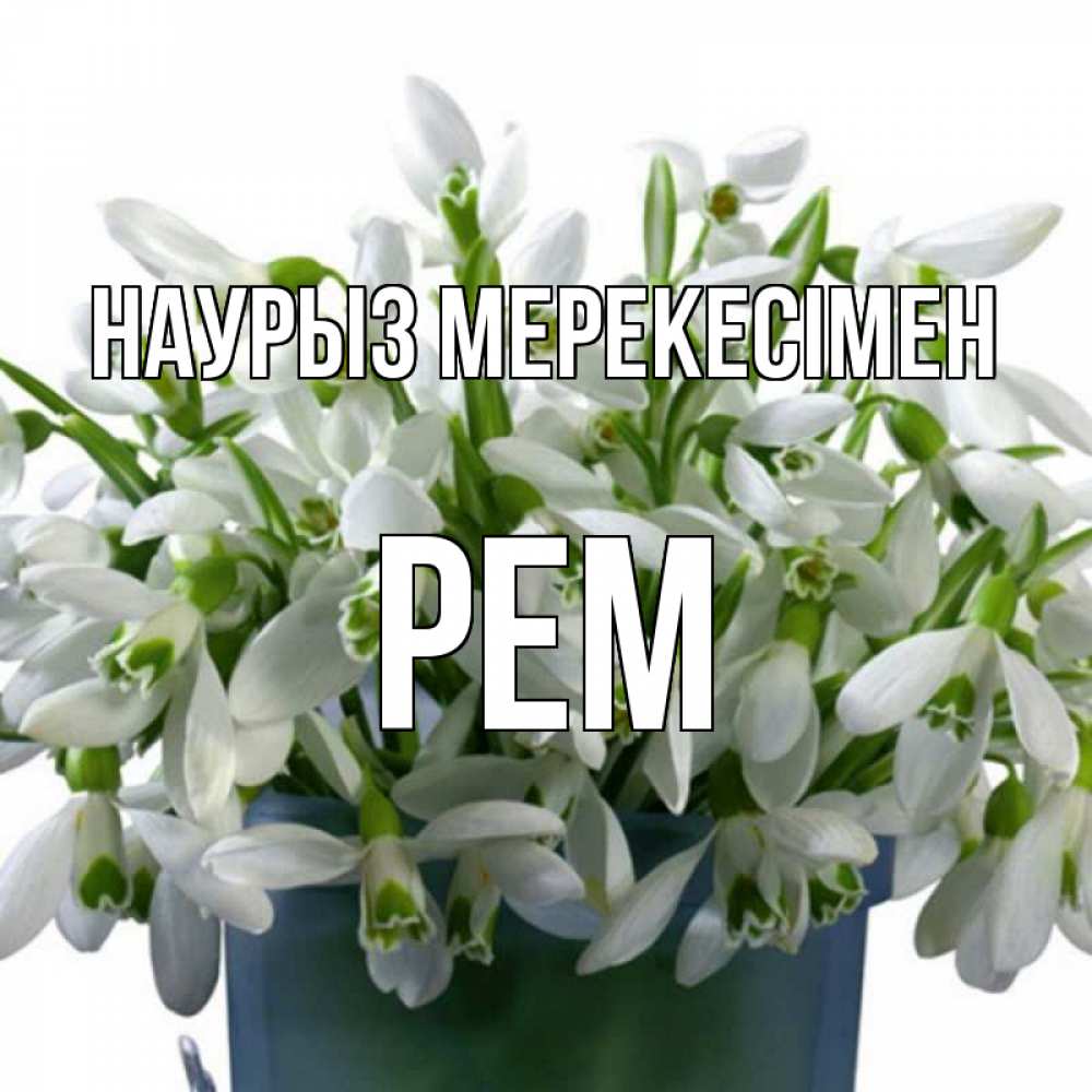 Күн сайын ашық хат с именем, Рем Наурыз мерекесімен цветы к наурызу новый год в Казахстане Онлайн тегін жүктеп алу тілектері бар керемет карта 