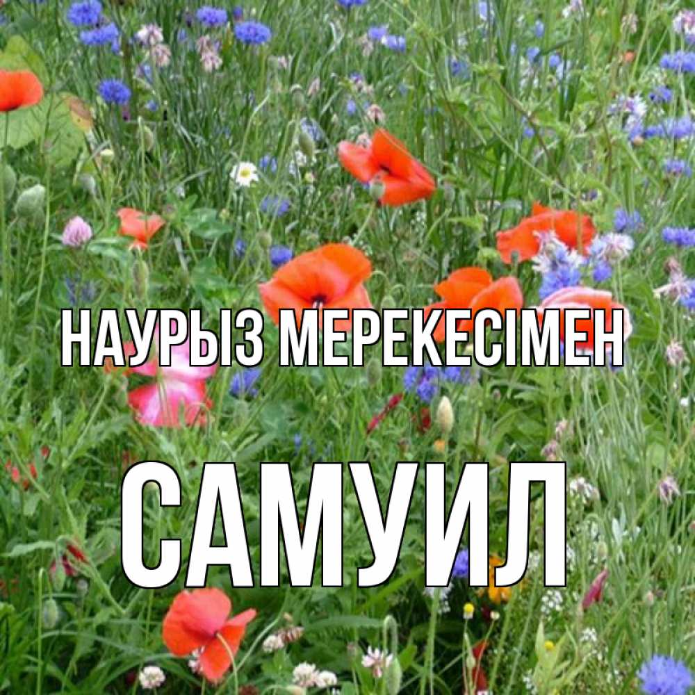 Күн сайын ашық хат с именем, Самуил Наурыз мерекесімен праздник весны наурыз супер открытка Онлайн тегін жүктеп алу тілектері бар керемет карта 