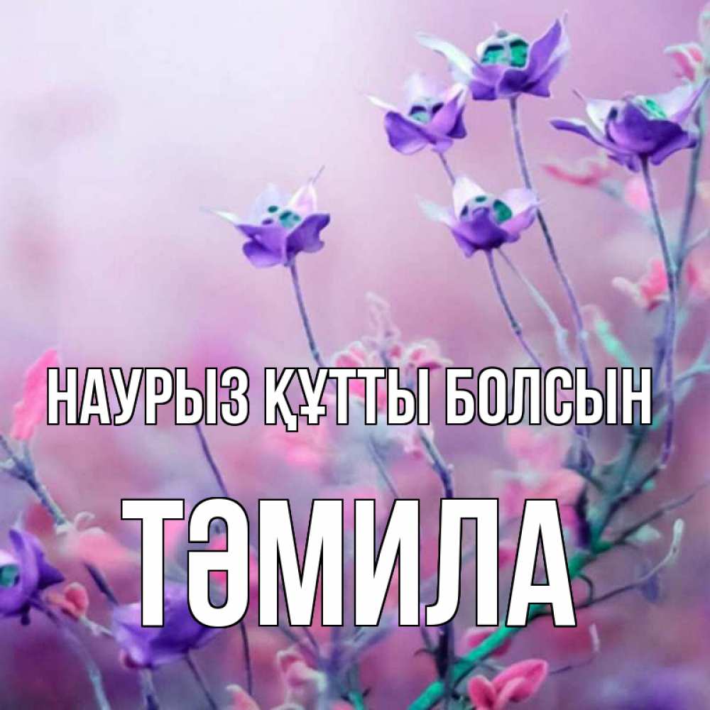 Күн сайын ашық хат с именем, ТӘМИЛА Наурыз құтты болсын наурыз  2 Онлайн тегін жүктеп алу тілектері бар керемет карта 