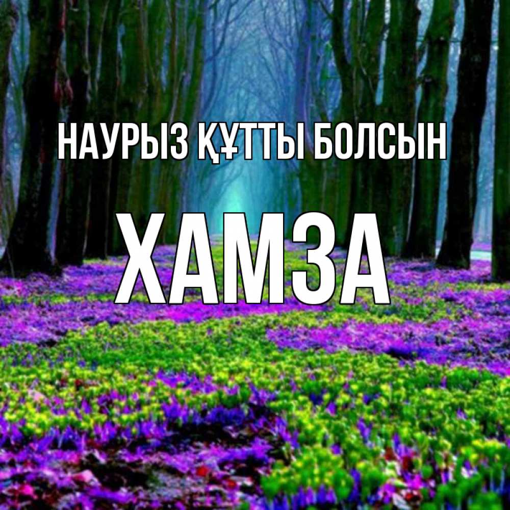 Күн сайын ашық хат с именем, ХАМЗА Наурыз құтты болсын фиолетовые цветы в лесу 1 Онлайн тегін жүктеп алу тілектері бар керемет карта 