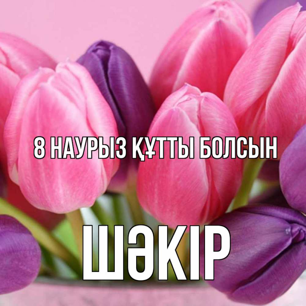 Күн сайын ашық хат с именем, ШӘКІР 8 наурыз құтты болсын маме 1 Онлайн тегін жүктеп алу тілектері бар керемет карта 