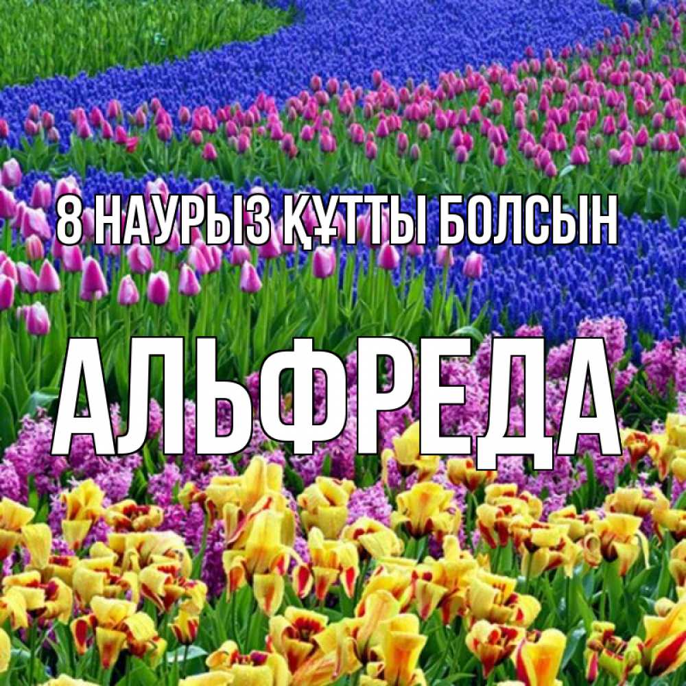 Күн сайын ашық хат с именем, Альфреда 8 наурыз құтты болсын цветы Онлайн тегін жүктеп алу тілектері бар керемет карта 