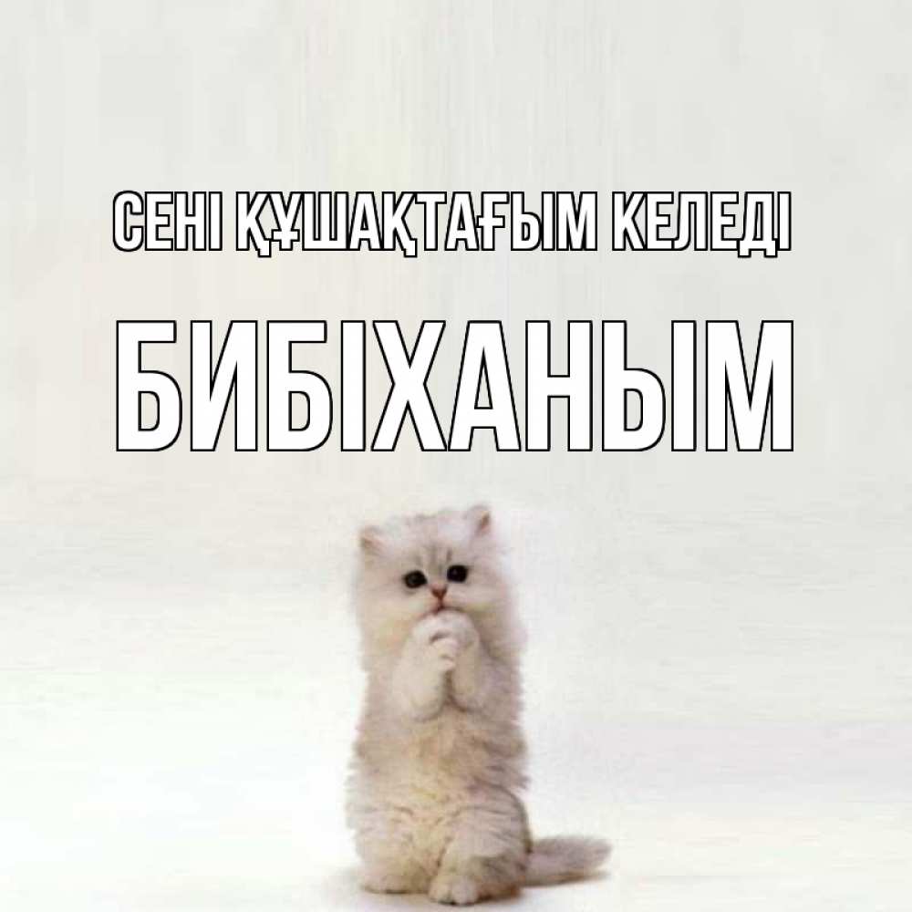 Күн сайын ашық хат с именем, БИБІХАНЫМ сені құшақтағым келеді открытки с креативными подписями Онлайн тегін жүктеп алу тілектері бар керемет карта 