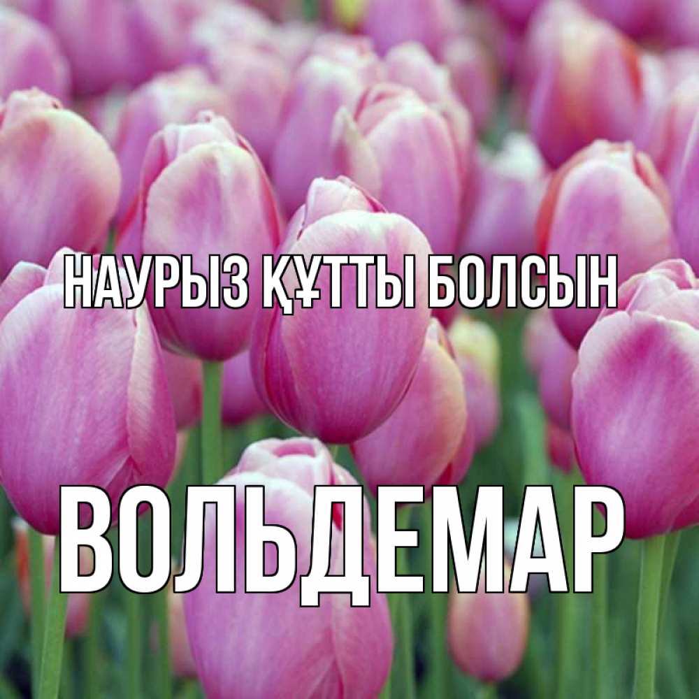Күн сайын ашық хат с именем, Вольдемар Наурыз құтты болсын на наурыз  день 3 Онлайн тегін жүктеп алу тілектері бар керемет карта 