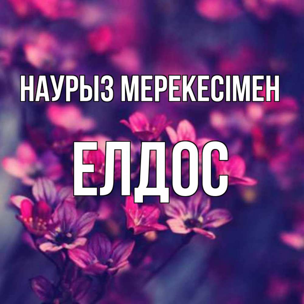 Күн сайын ашық хат с именем, Елдос Наурыз мерекесімен небольшие цветы 1 Онлайн тегін жүктеп алу тілектері бар керемет карта 