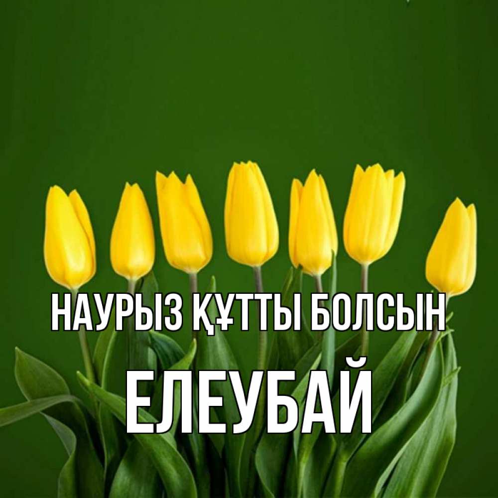 Күн сайын ашық хат с именем, Елеубай Наурыз құтты болсын желтого цвета 3 Онлайн тегін жүктеп алу тілектері бар керемет карта 