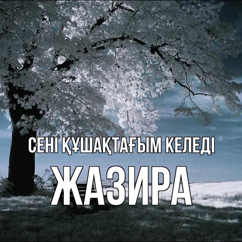 Күн сайын ашық хат с именем, ЖАЗИРА сені құшақтағым келеді дерево Онлайн тегін жүктеп алу тілектері бар керемет карта 